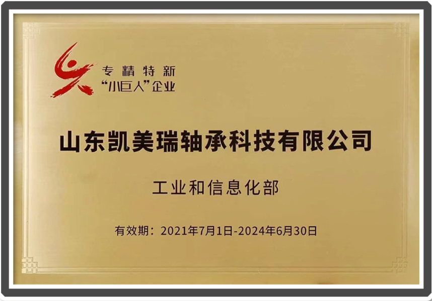 小巨人企業(yè).png