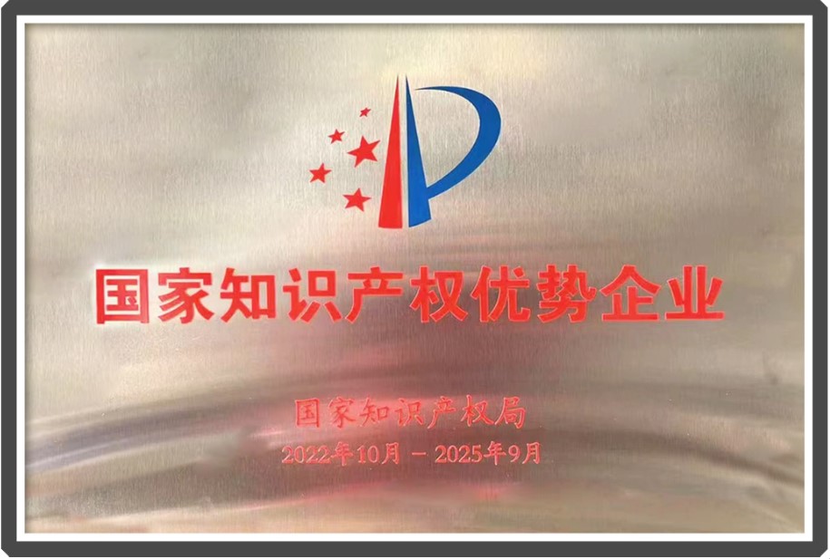 國家知識產(chǎn)權(quán)優(yōu)勢企業(yè).jpg