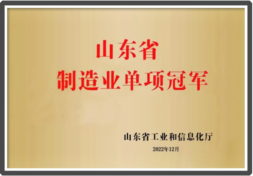 山東省制造業(yè)單項冠軍.jpg